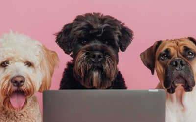 Building a Collaborative Digital Workspace for Remote Teams